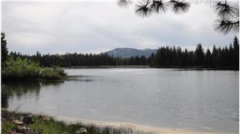 Primary listing photos for listing ID 533590