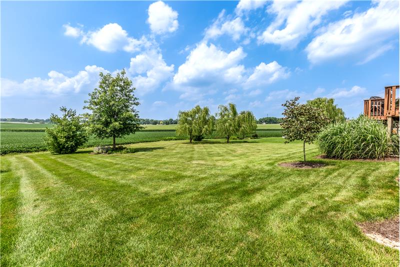 View of rear yard and preserved farmland