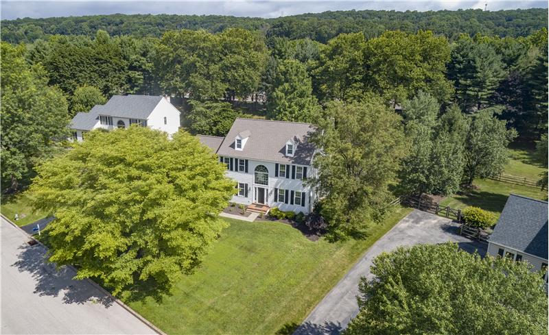 1761 Thistle Way - Ariel View 