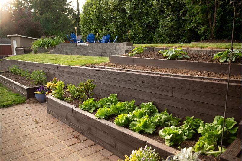 Terraced garden areas in the backyard. Property comes complete with planted vegetable gardens! Veges convey with property!