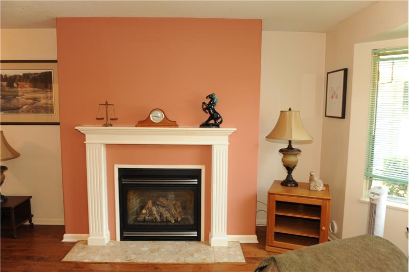 Living Room Gas Fireplace