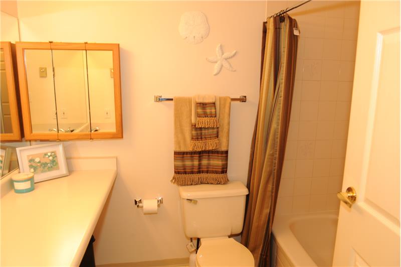 Main Bathroom