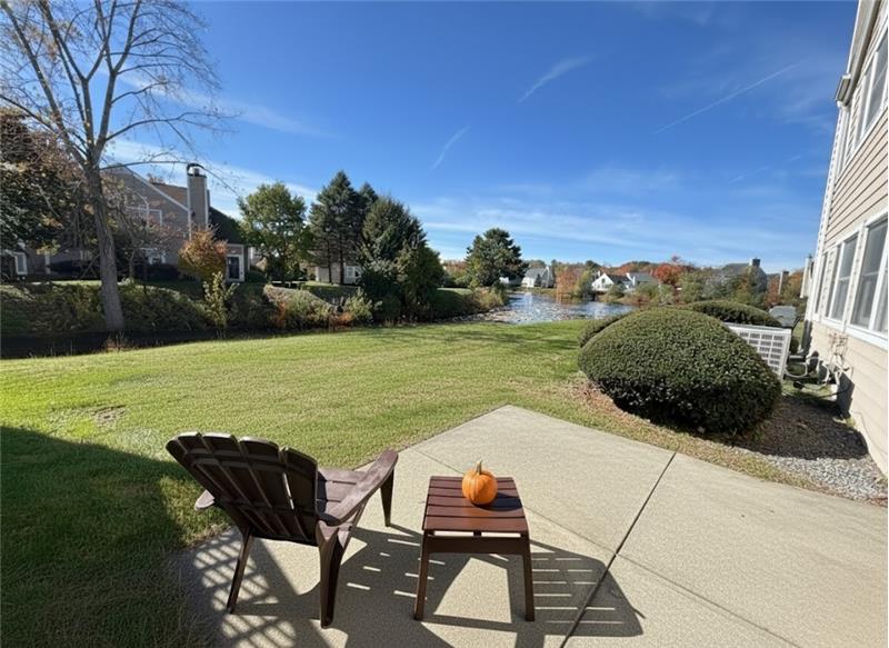 Views of Swan Pond from the back patio of 18 Teal Circle