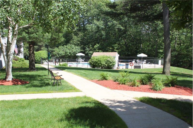 Path to Pool