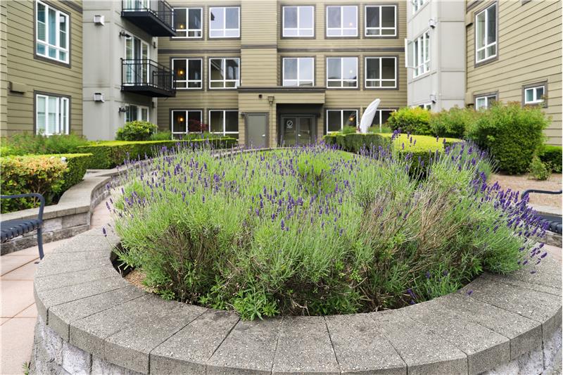 Lovely Flowers in the Courtyard.