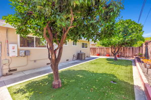 E-Z to Maintain Back Yard Space!