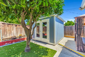 Enjoy Fresh-Squeezed Orange Juice from your Fruit-Producing Orange Trees!