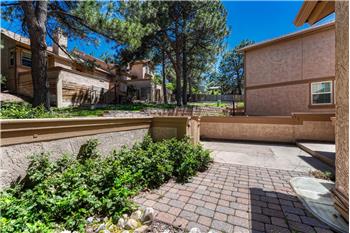 Front courtyard that overlooks peaceful green space with mature trees lining the walkway.
