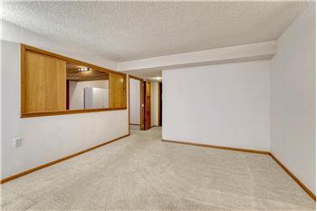 Basement family room with pass through into the basement bedroom.