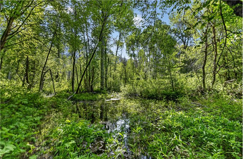 
                            Property Image 108