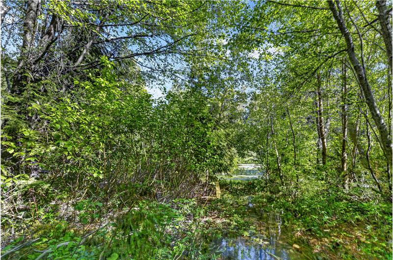 
                            Property Image 84