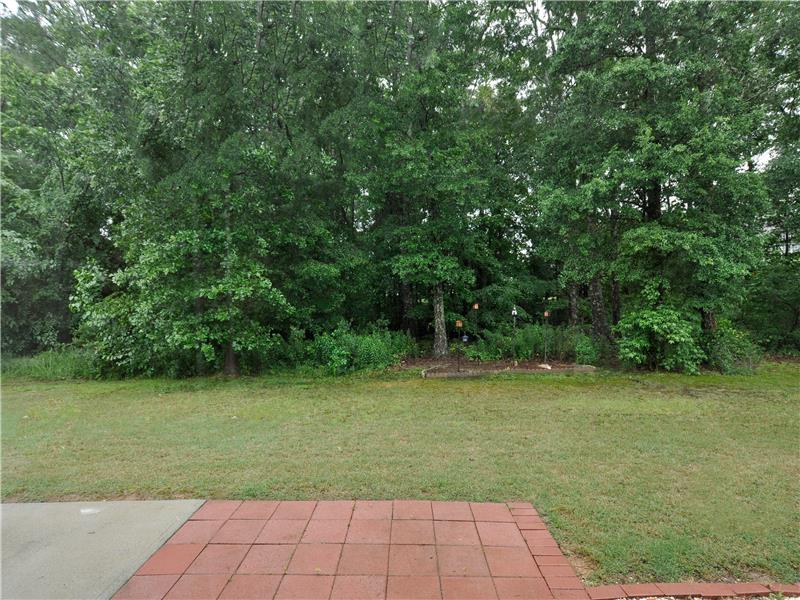 Wooded privacy in backyard