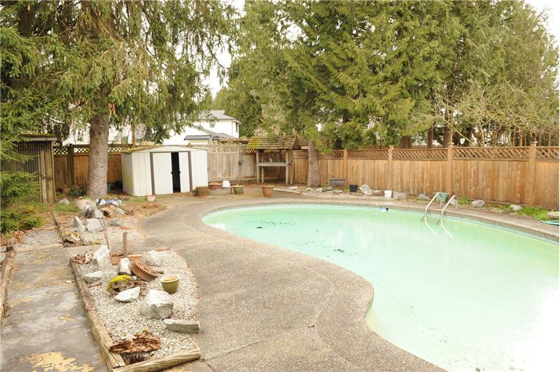 Back yard with pool