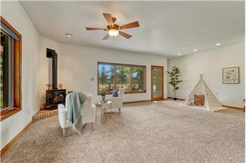 Walk-out lower level rec room with gas fireplace.