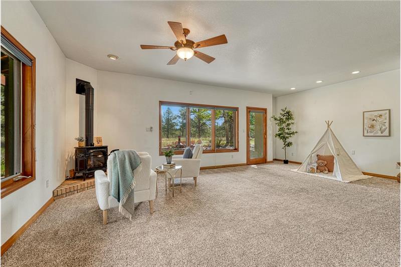 Walk-out lower level rec room with gas fireplace.