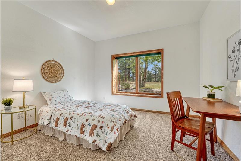 Lower level bedroom #4.