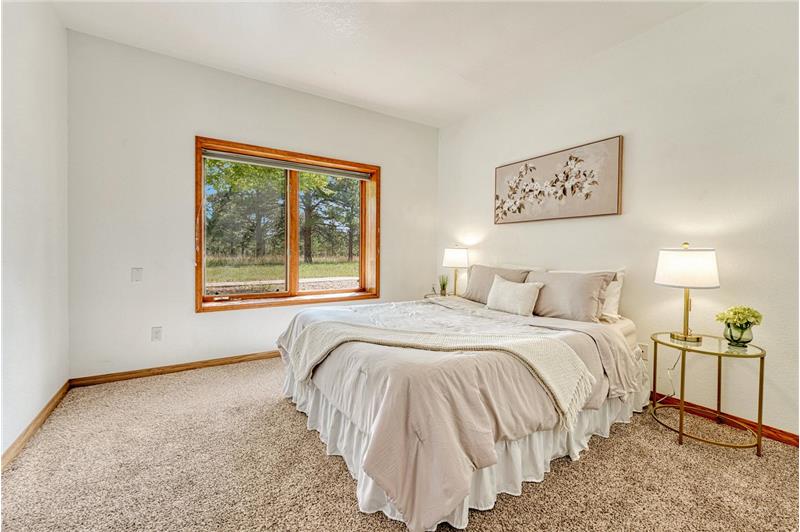 Lower level bedroom #5. Four bedrooms in lower level.