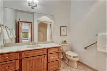Lower level bath vanity.