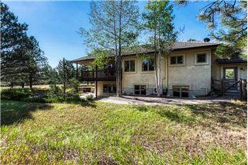 Back of the home and fenced in area for dogs.