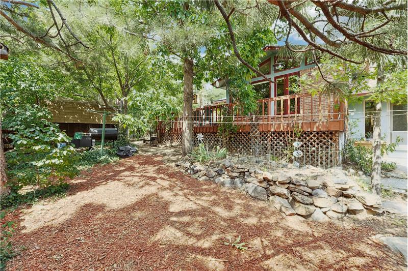 Back yard