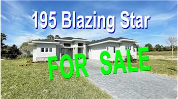 195 Blazing Star Ave, Lake Alfred, FL