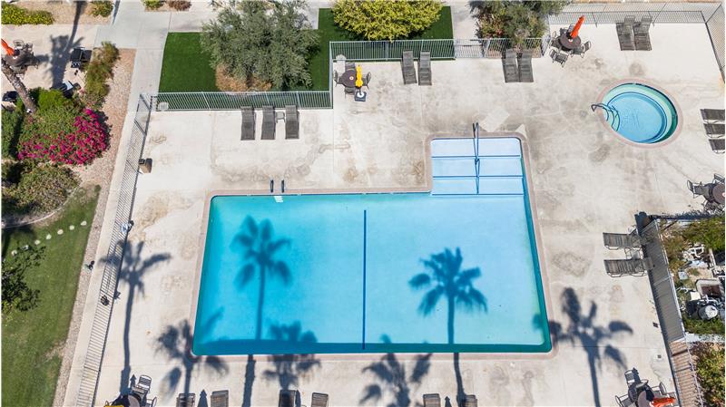 Sparkling Pool, Spas and Magestic Palms