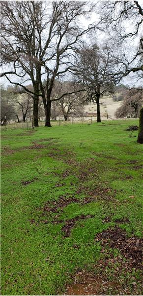 19890 Perimeter Road, Grass Valley, CA 95949