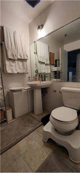 Vanity and toilet in the bathroom