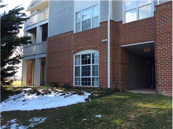 Primary listing photos for listing ID 532435