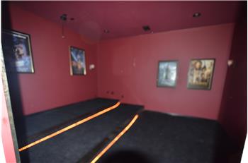 theatre/media room