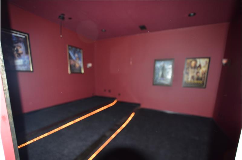 theatre/media room