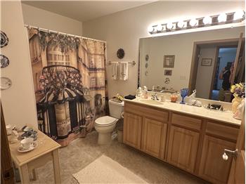 Hall bathroom