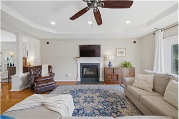Gas fireplace
