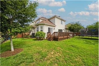 Pesticide free yard