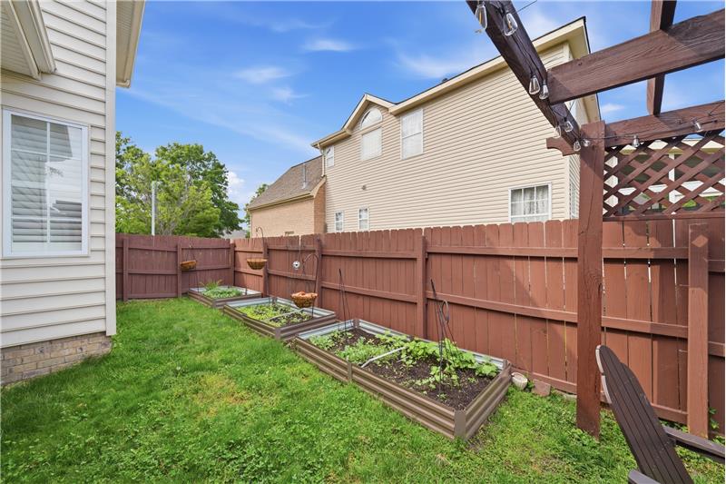 Herb/vegetable garden