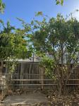 https://realbird.blob.core.windows.net/rb-photos/2150-monterey-road-75-san-jose-ca-95112_E2F3C3C5_648658_639187332341095307_80x60.jpg