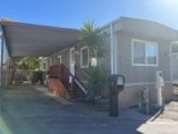 Spacious Lot with Carport to Park 2 Cars plus Sunny Back Yard with Lemon Tree & Room to Plant Garden