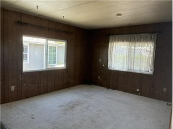 Large Living Room with Abundant Natural Light from 3 Dual-Pane Windows!
