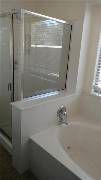 Tub and shower master bath