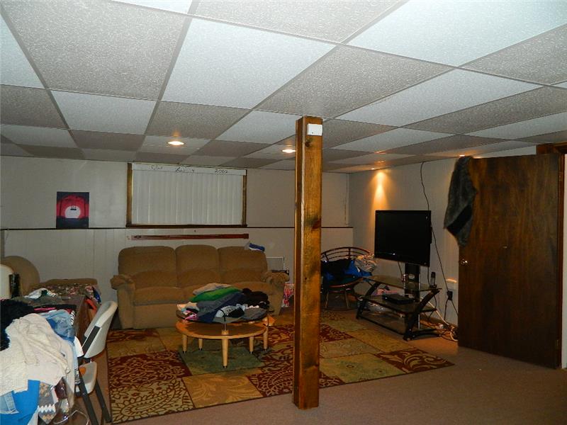 Lower level family room