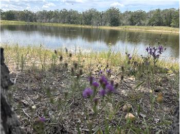 2250 Old Lockhart Road Plum area, La Grange, TX