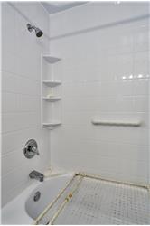 Main Floor Shower and Bathtub