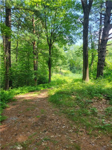 Groomed trails