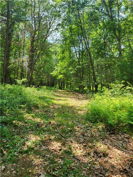 Trails for horses or recreational use