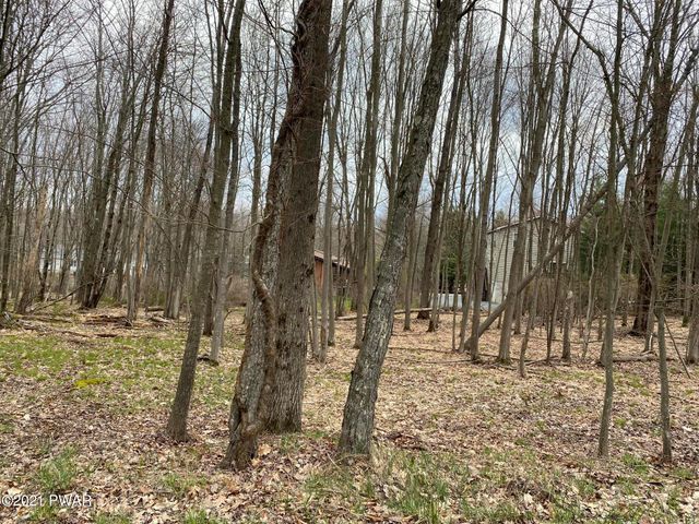 Level Wooded Building Lot