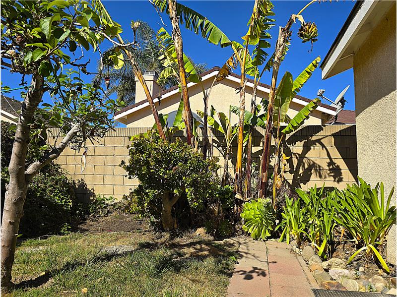 Private backyard with mature fruit treesrare lowmaintenance garden living in a gated area.
