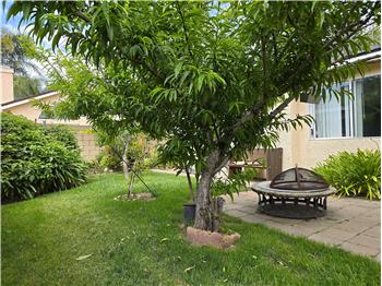 Private backyard with mature fruit treesrare lowmaintenance living and garden enjoyment rarely found in gated communities.