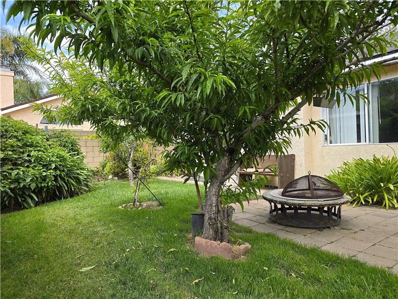 Private backyard with mature fruit treesrare lowmaintenance living and garden enjoyment rarely found in gated communities.