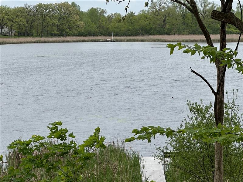 Back yard and view of lake