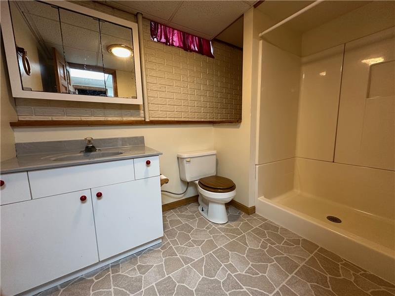 Lower Level Full Bathroom